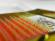 UV Color Lashes Variety Tray