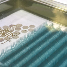 Color Lashes - Variety Tray