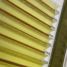 Color Lashes - Variety Tray