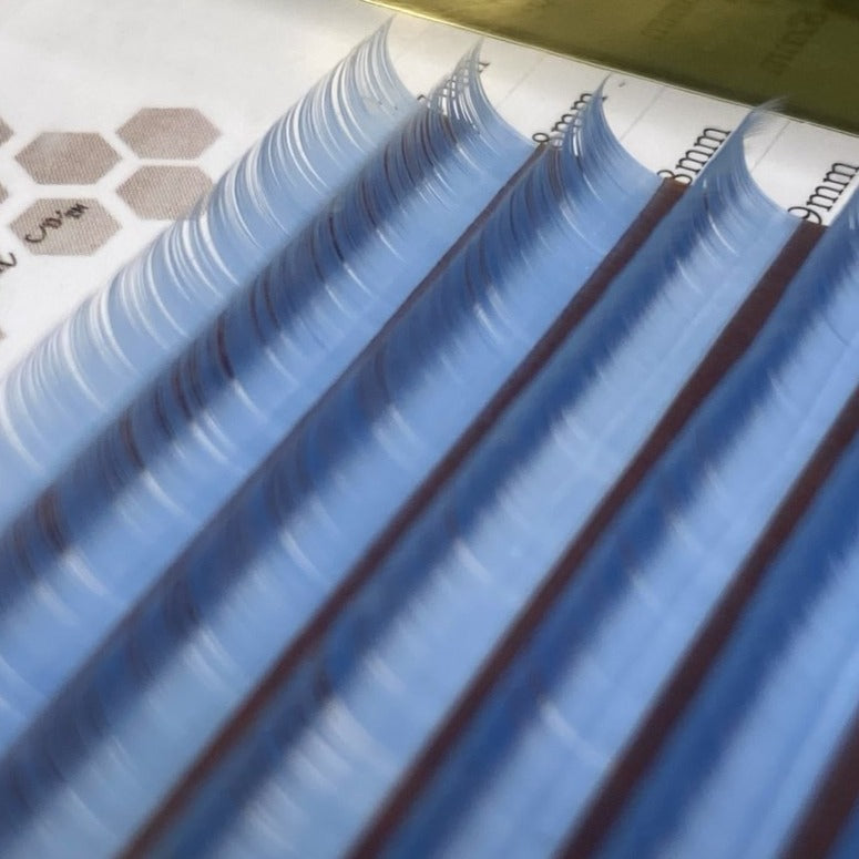 Color Variety Trays for Eyelashes Honeybee Lash Co. Honeybee Lash Co.