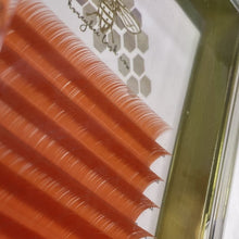Color Lashes - Variety Tray