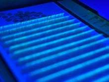 UV Color Lashes Variety Tray