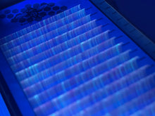 UV Color Lashes Variety Tray