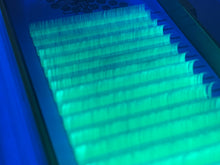 UV Color Lashes Variety Tray