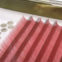 Color Lashes - Variety Tray