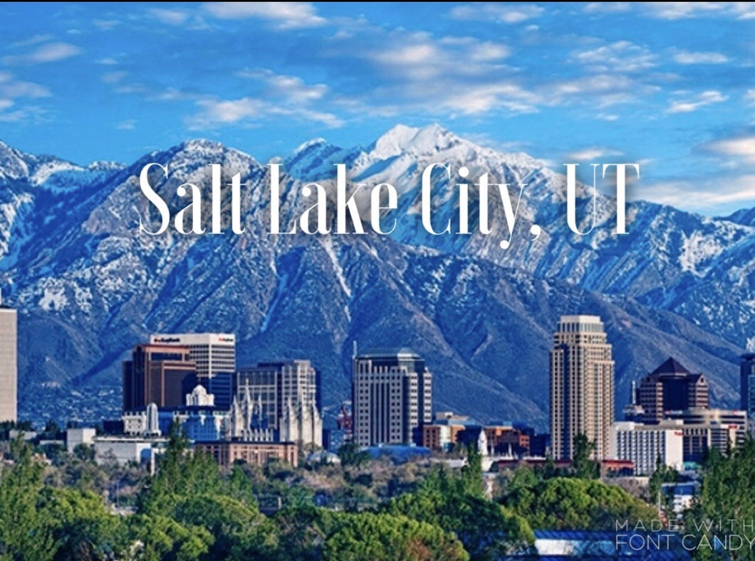 Postponed until 2021 Introductory Volume Lash Training -  Salt Lake City, UT